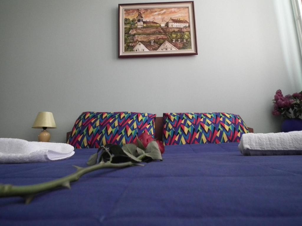 Nasa Tvrdava Guest Accommodation Novi Sad Room photo